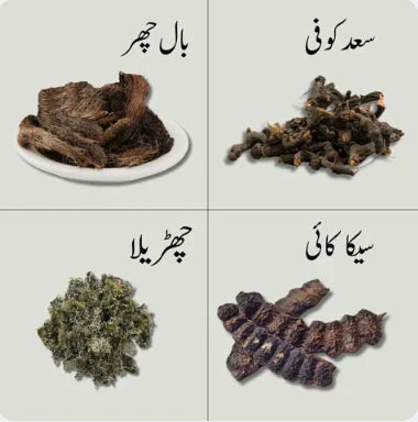 Rivaaj Organic Hair Shampoo